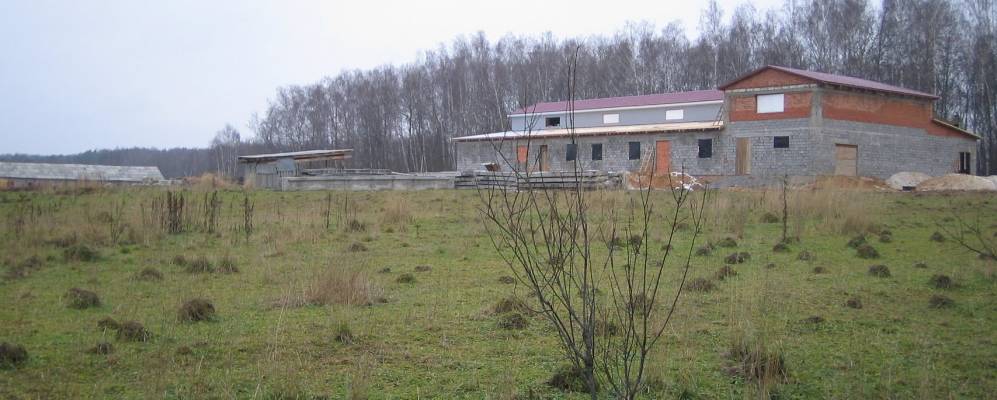 
            Фотография Бунчихи