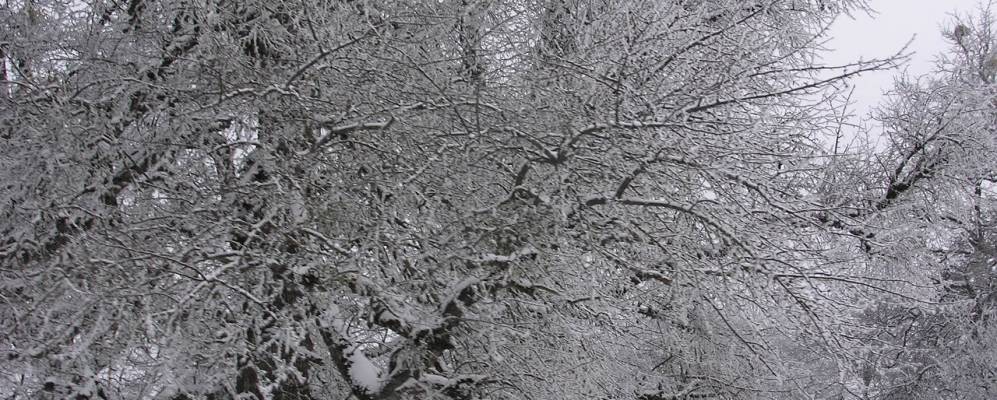 
            Фотография Давлетби-Хутора