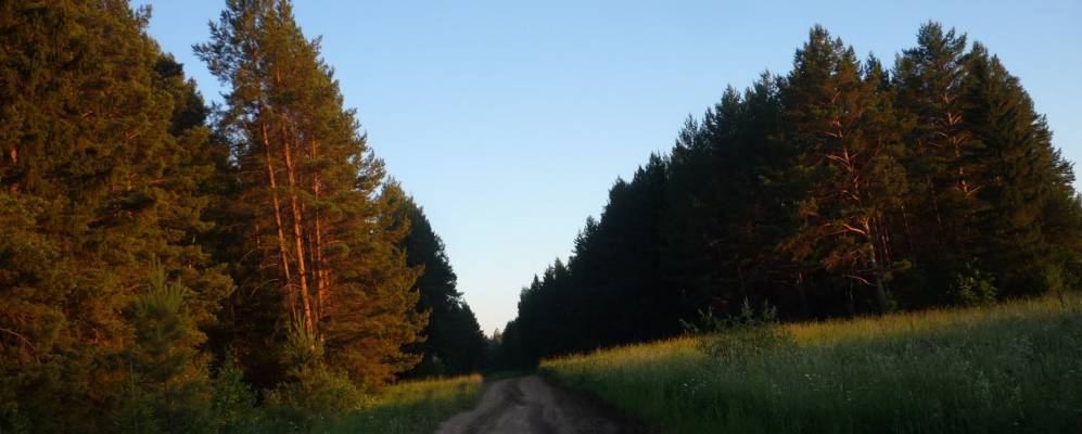 Фотография Сюбы