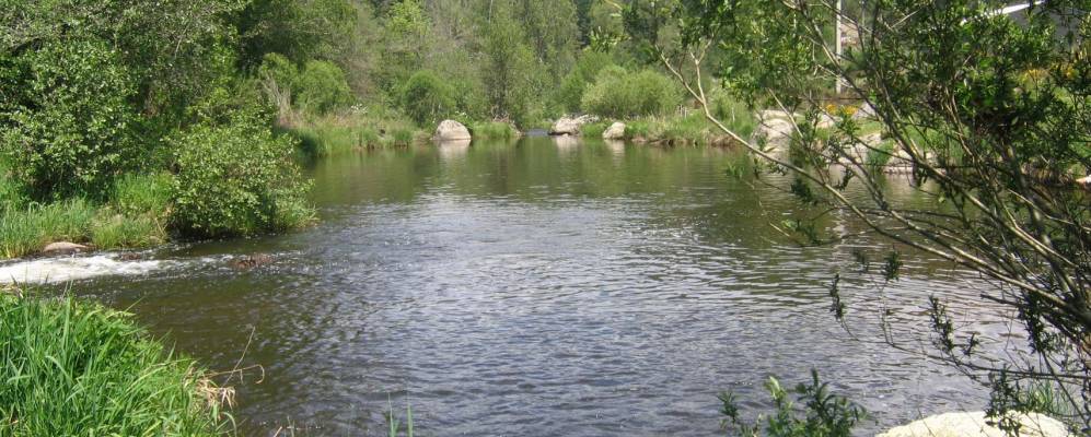 Фотография Ору