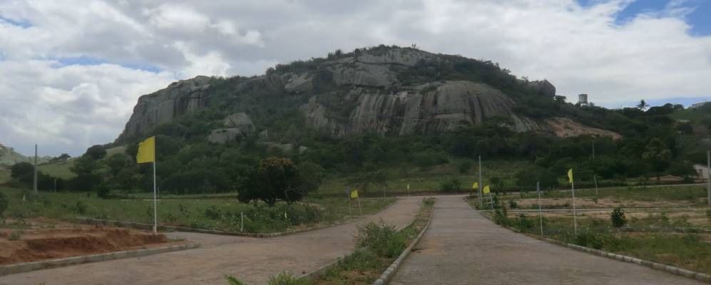 
            Фотография Монти-дас-Гамелейрас