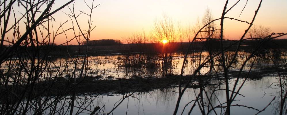 
            Фотография Крекшино