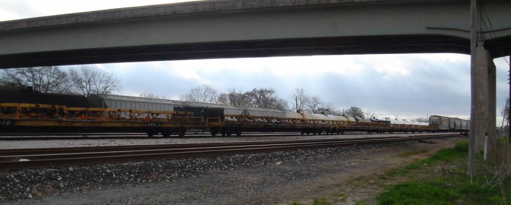 
            Фотография Херна