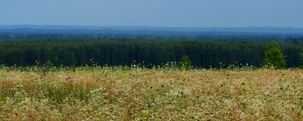 
            Фотография поселка Мешерки