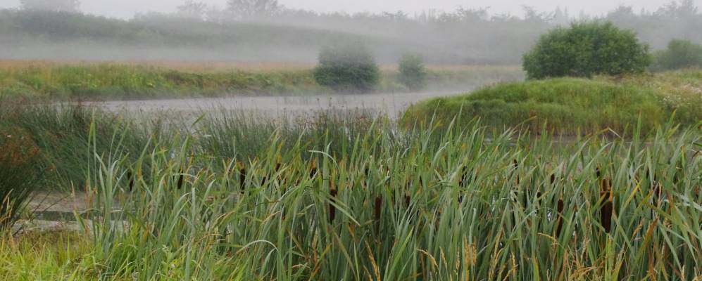 
            Фотография Уразаево