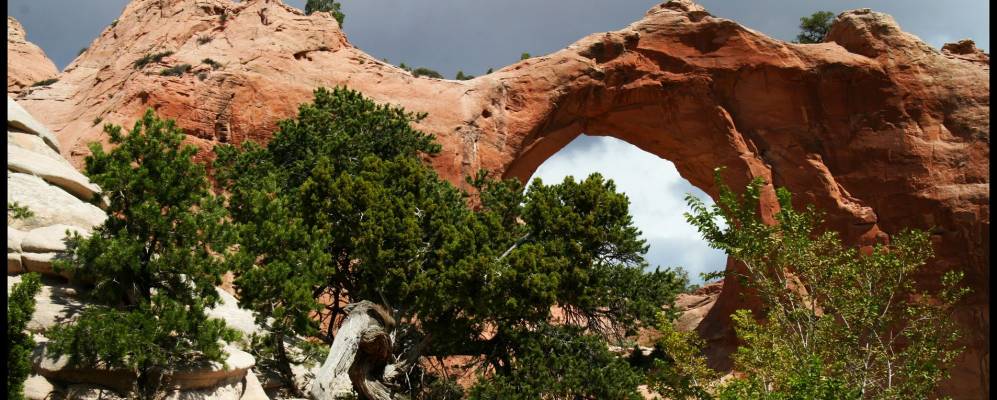 
            Фотография Window Rock