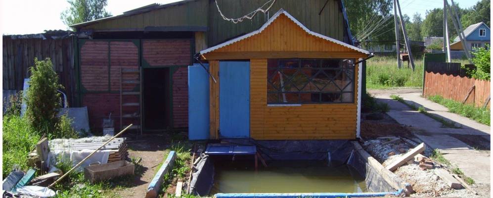 
            Фотография Шишкино