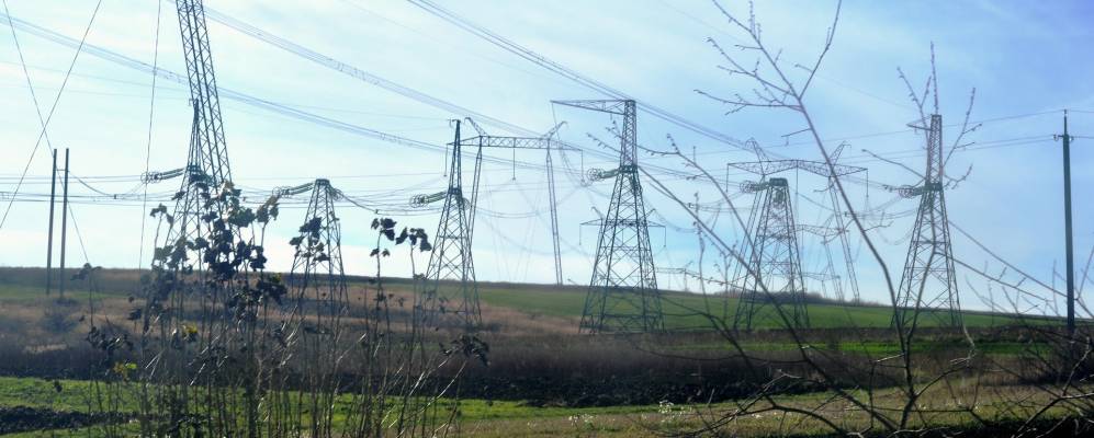 
            Фотография Волкова