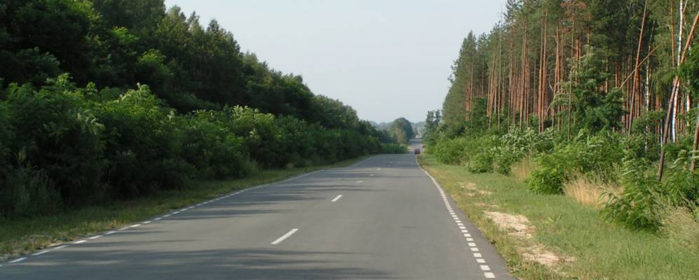 
            Фотография Логи