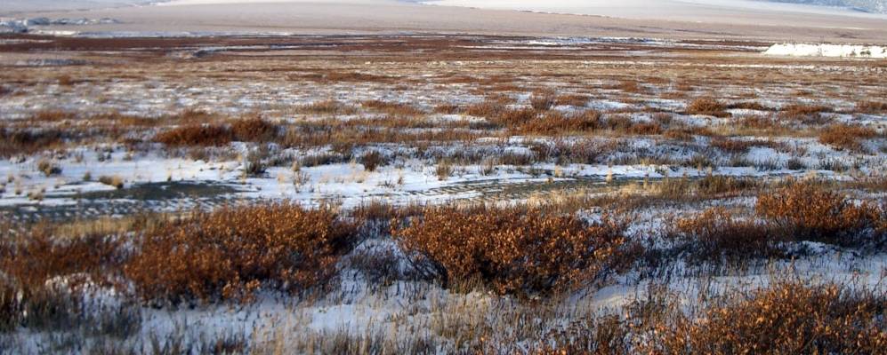 
            Фотография Западного