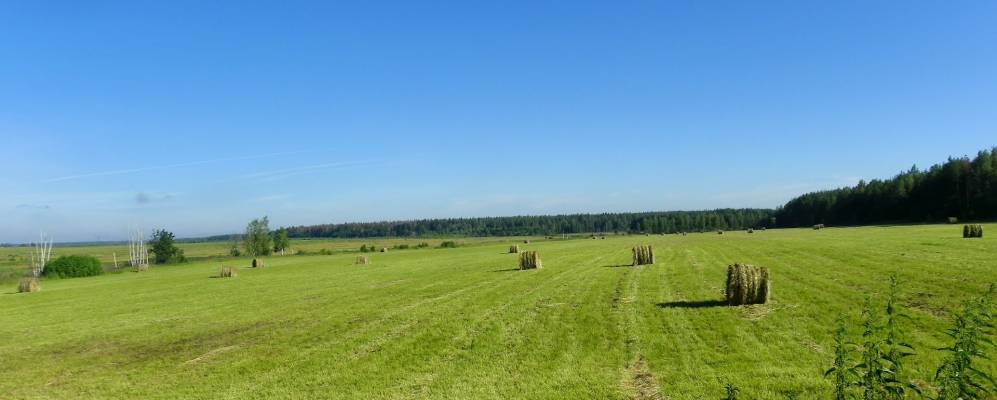 
            Фотография Назарово