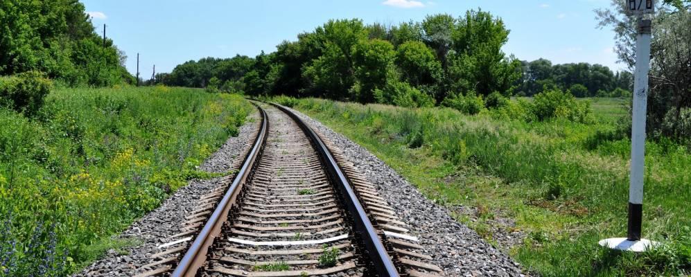 
            Фотография Курячовки