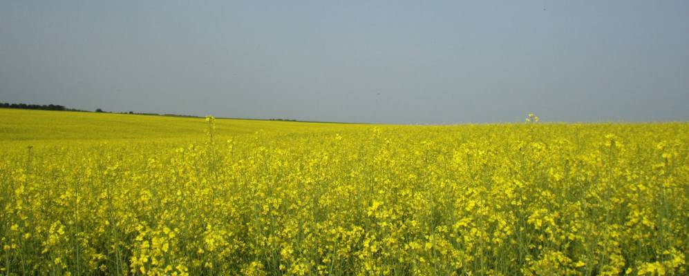 
            Фотография Малой Пятигорки