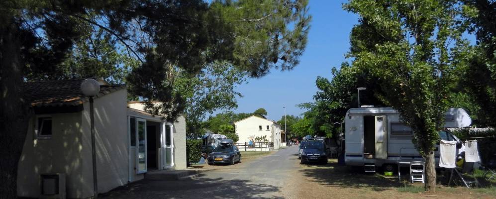 
            Фотография Совьяна