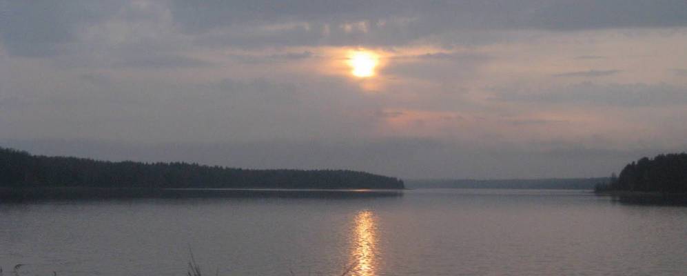 
            Фотография Школьного