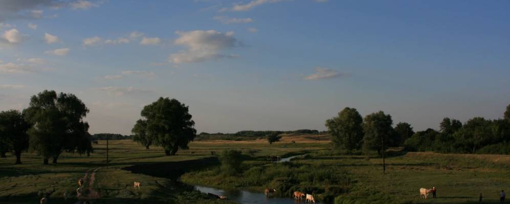 
            Фотография Обливского