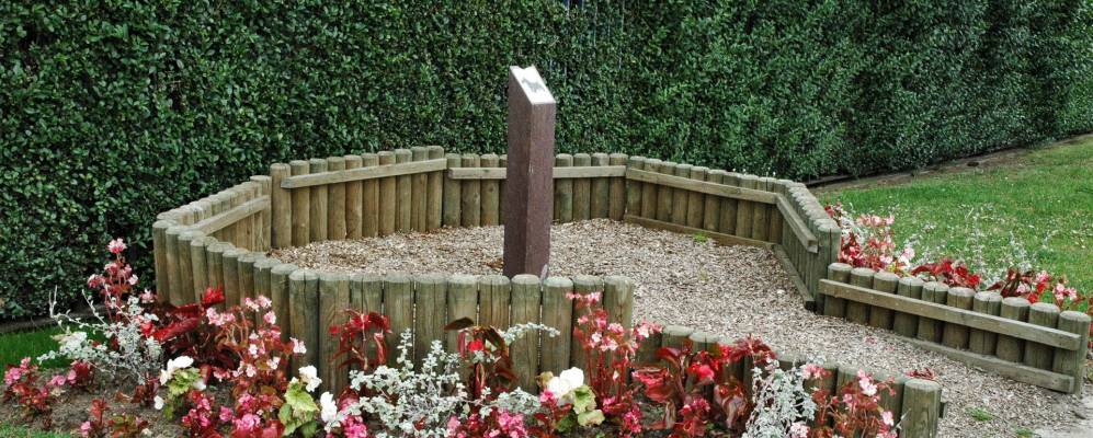 
            Фотография Анёльена