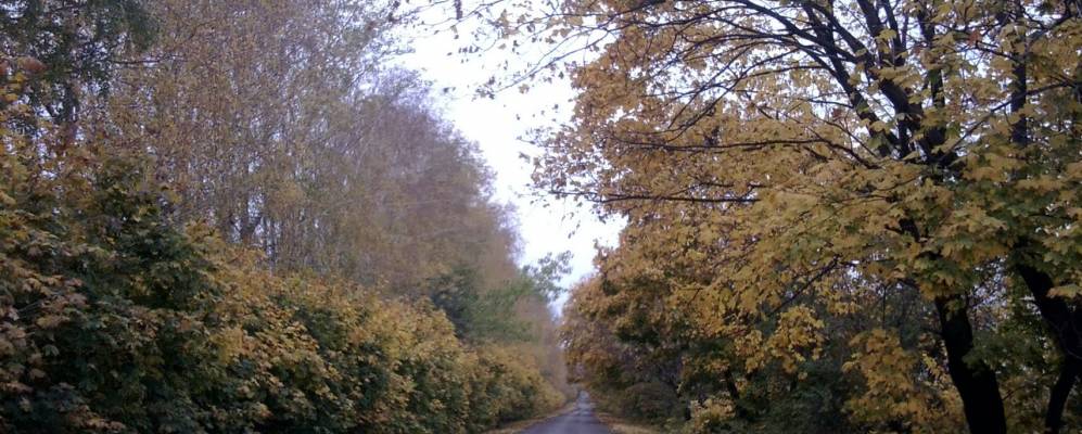 
            Фотография Подкуйчанска