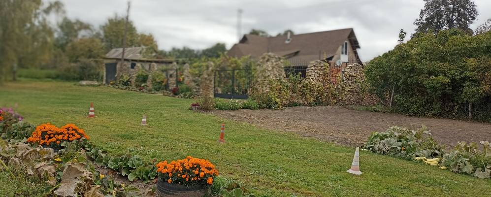 
            Фотография Лапотково