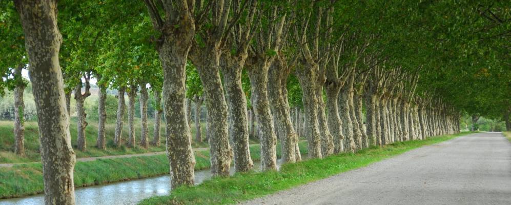 
            Фотография Саллель-д'Ода