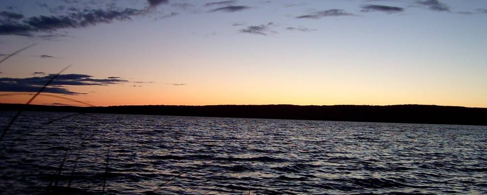 
            Фотография Свиного