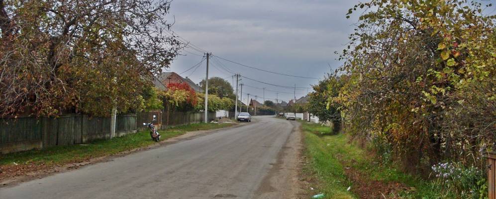 
            Фотография Вербовца