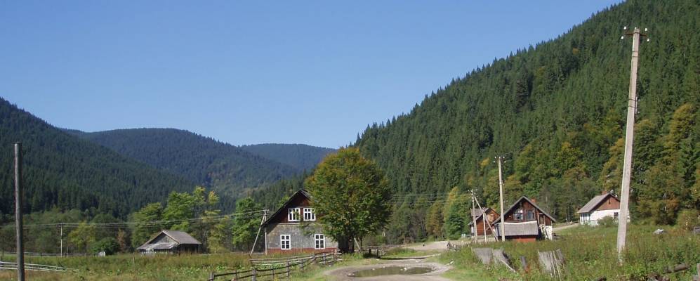 
            Фотография Буркута