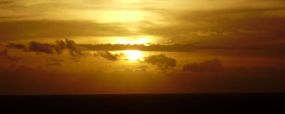 
            Фотография Бебериби