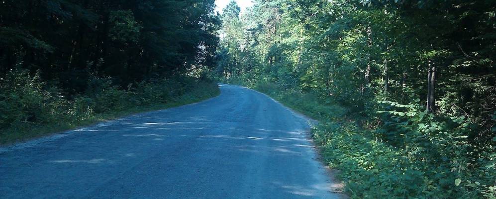 
            Фотография Мшанца