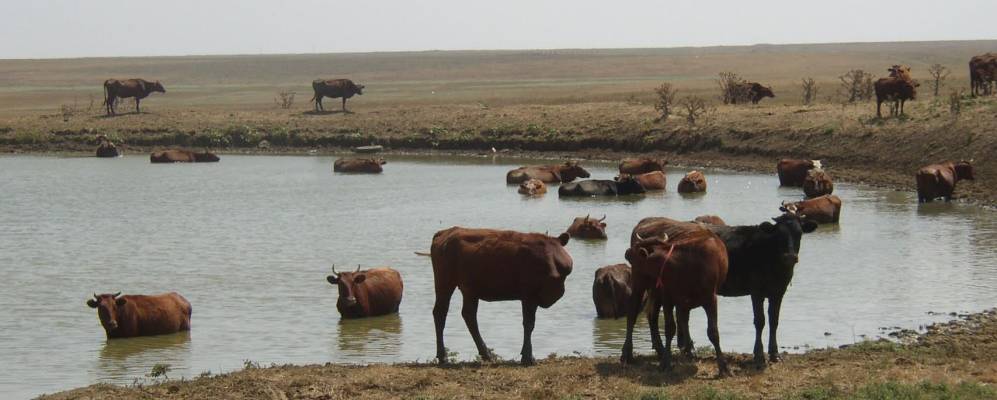 
            Фотография Борисовки