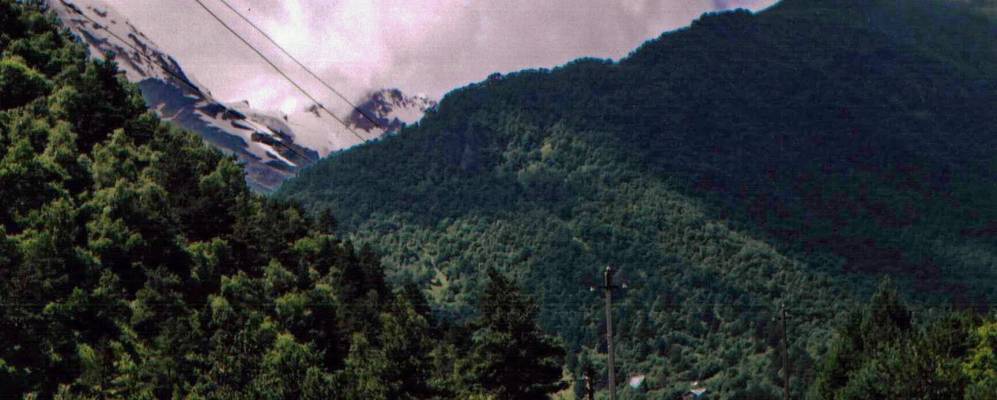 
            Фотография Куссу