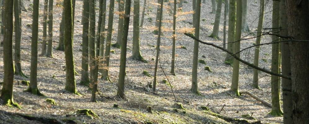 
            Фотография Мудерсбаха