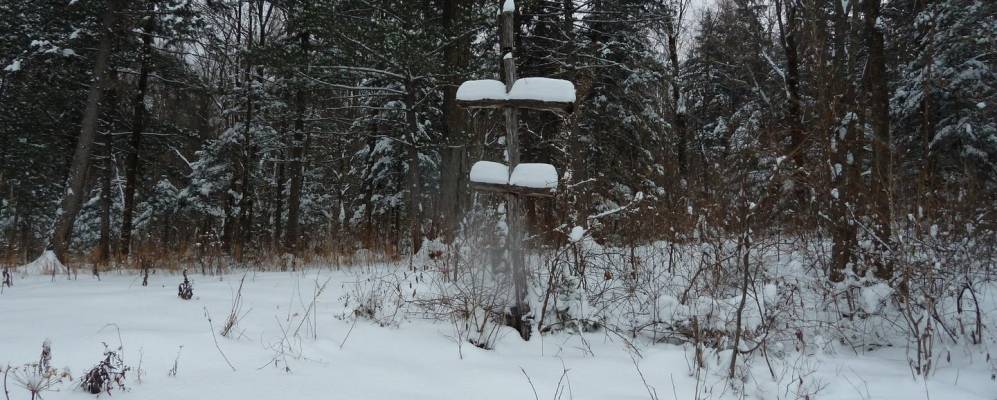 
            Фотография Третьей Седьмой