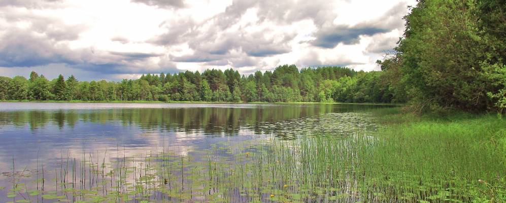 
            Фотография Машутихи