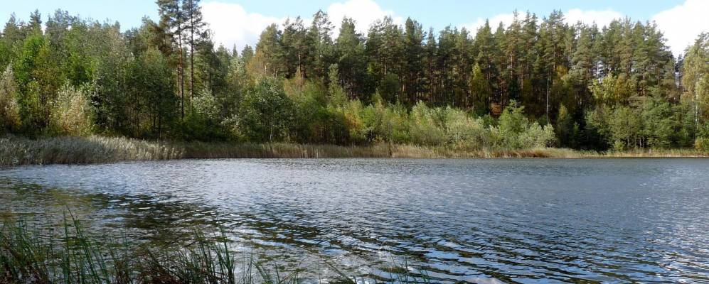 
            Фотография Клишино