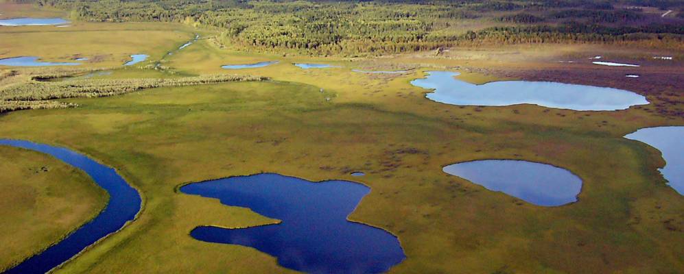 
            Фотография Вампугола