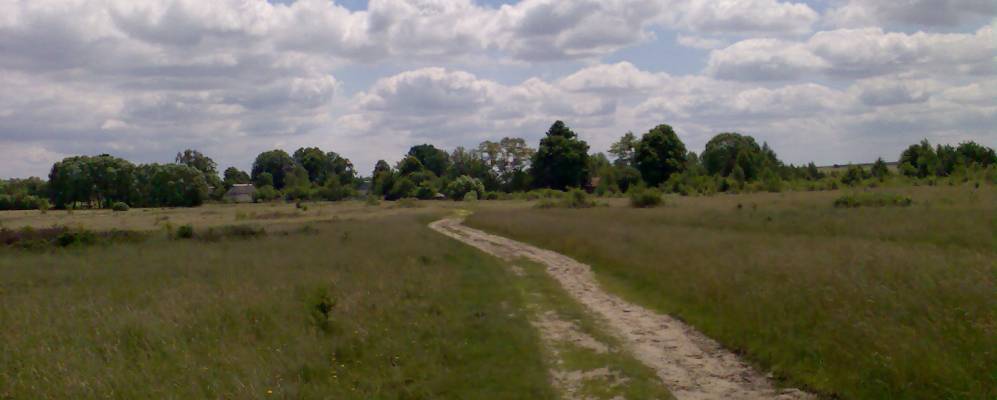 
            Фотография Нагачева