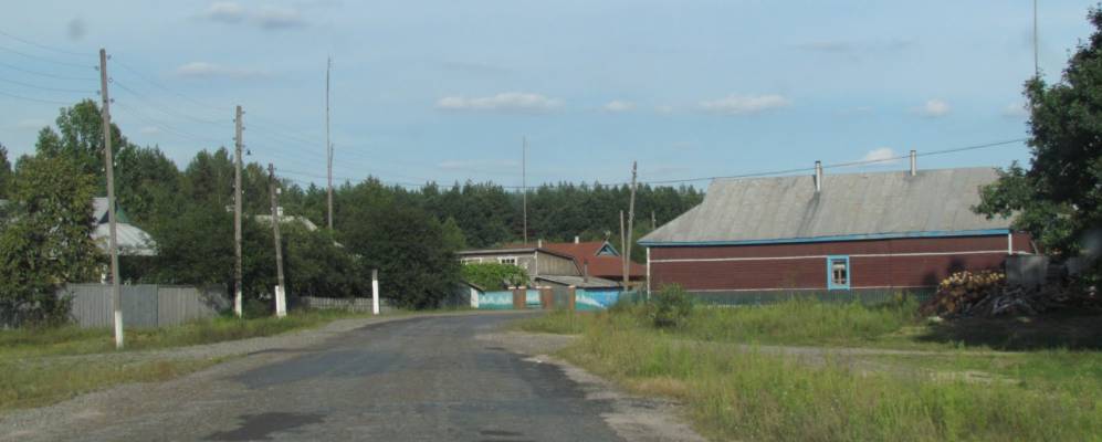 
            Фотография Олешни