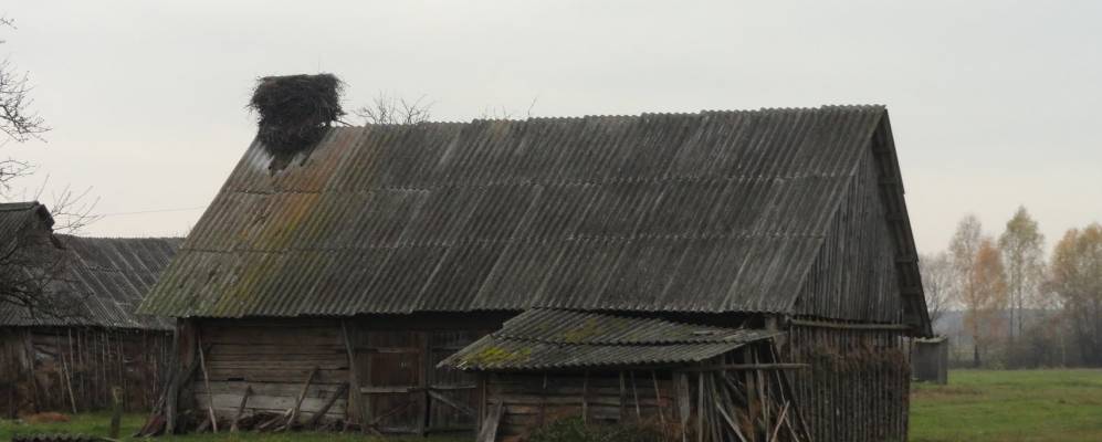 
            Фотография Иваномысли