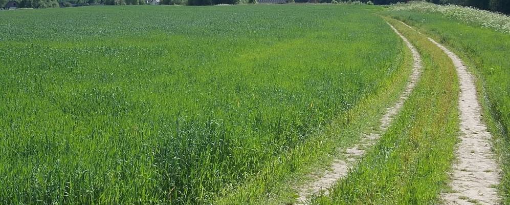 
            Фотография Яхновщины