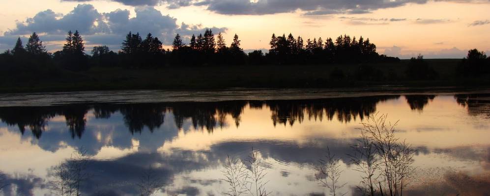 
            Фотография Ильича