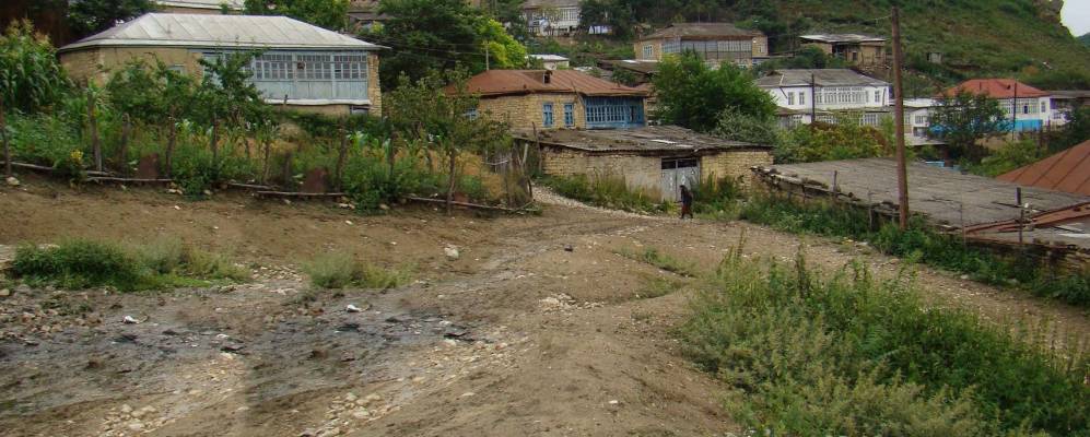 Фотография Зильдика