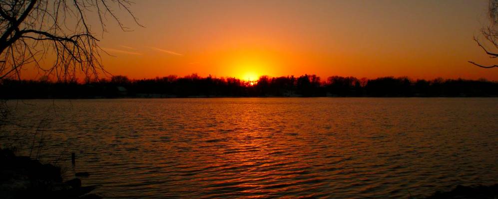 
            Фотография Грэйслэйка