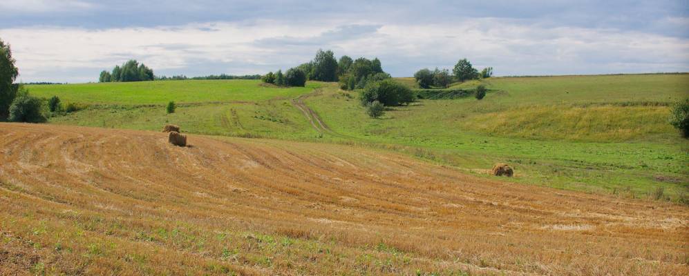 
            Фотография Быкова Майдана