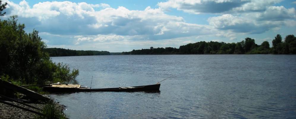 
            Фотография Прусыни