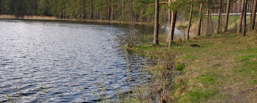 
            Фотография Упмаласа