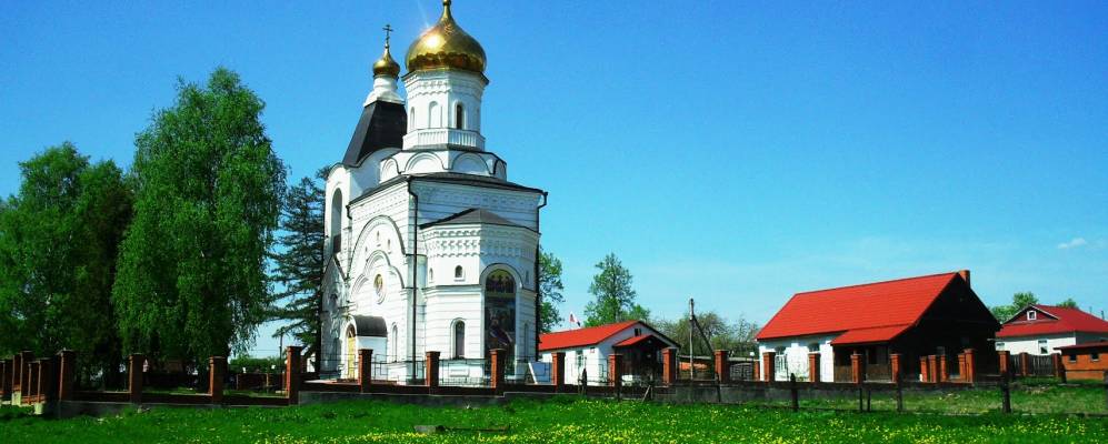 
            Фотография Шубника