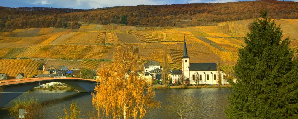 
            Фотография Писпорта