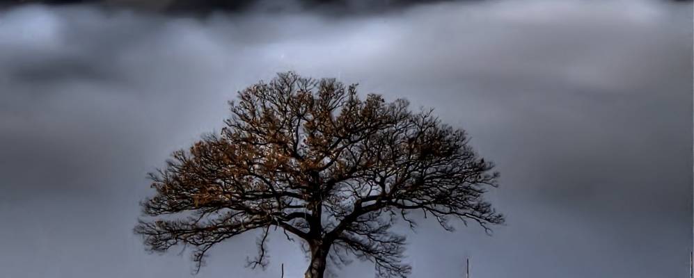 
            Фотография Сан-Джинезио