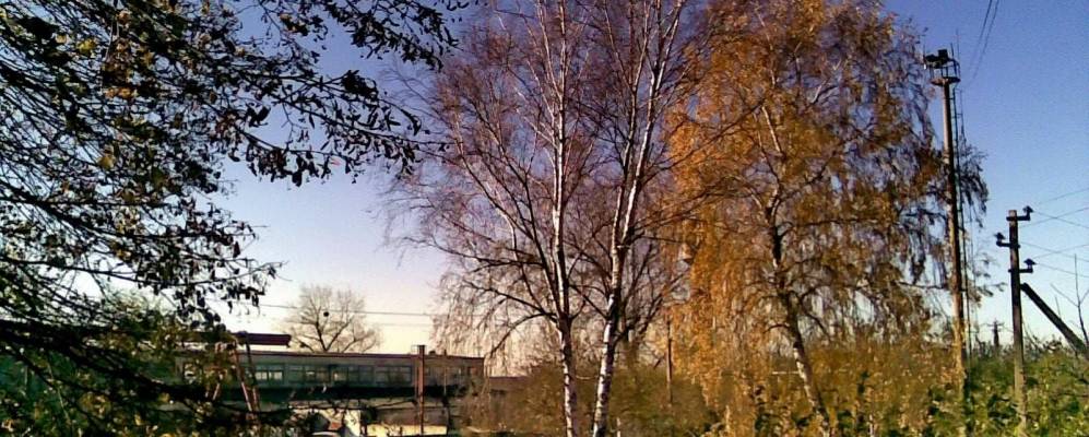 
            Фотография Белогородки